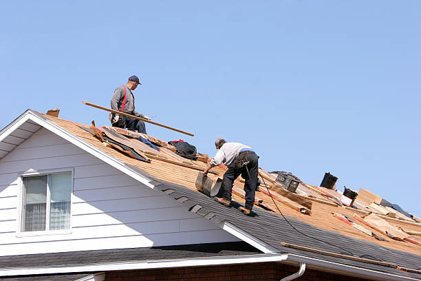 Best Roof Maintenance and Cleaning  in Incline Village, NV